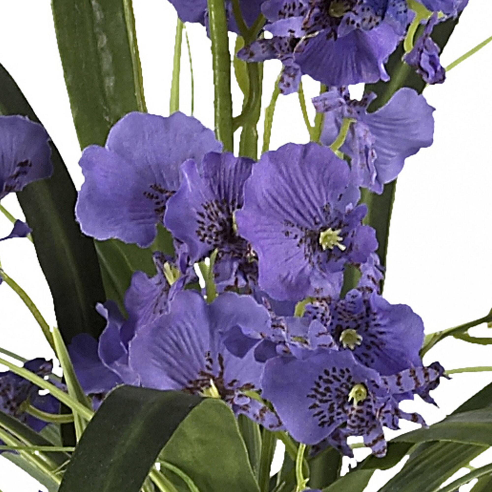 19" Dancing Lady Orchid Arrangement in Vase